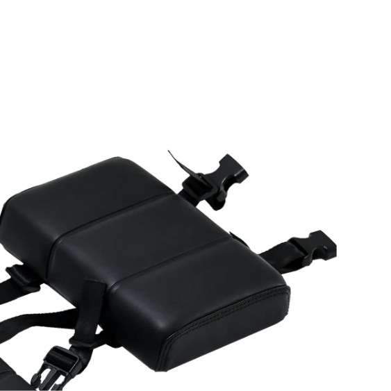 Rebel Passenger Back Rest